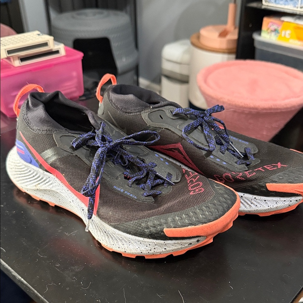 Nike Pegasus Trail 3 GTX Womens